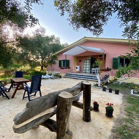 Endless Green: Feel Free And Cozy In Nature Perivolion Ngoại thất bức ảnh