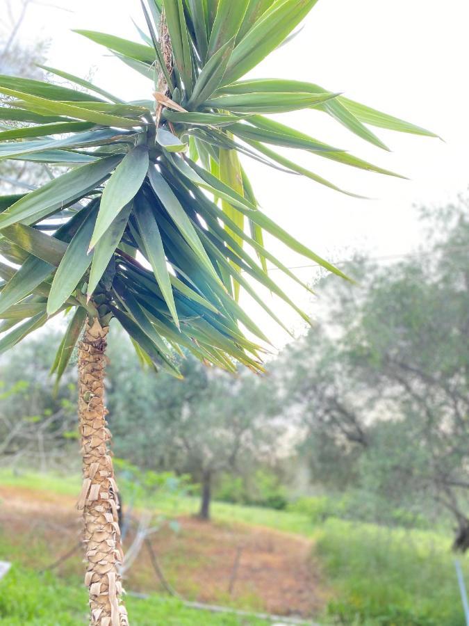 Endless Green: Feel Free And Cozy In Nature Perivolion Ngoại thất bức ảnh
